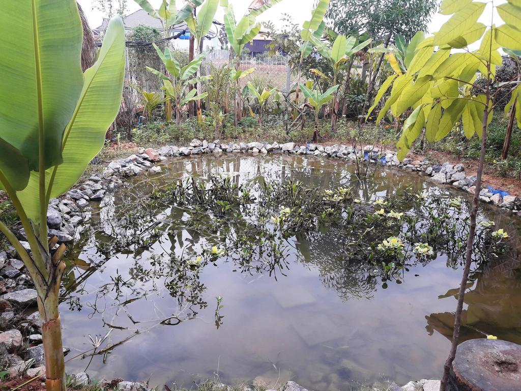 Angkor Rural Boutique Resort Siem Reap Bagian luar foto