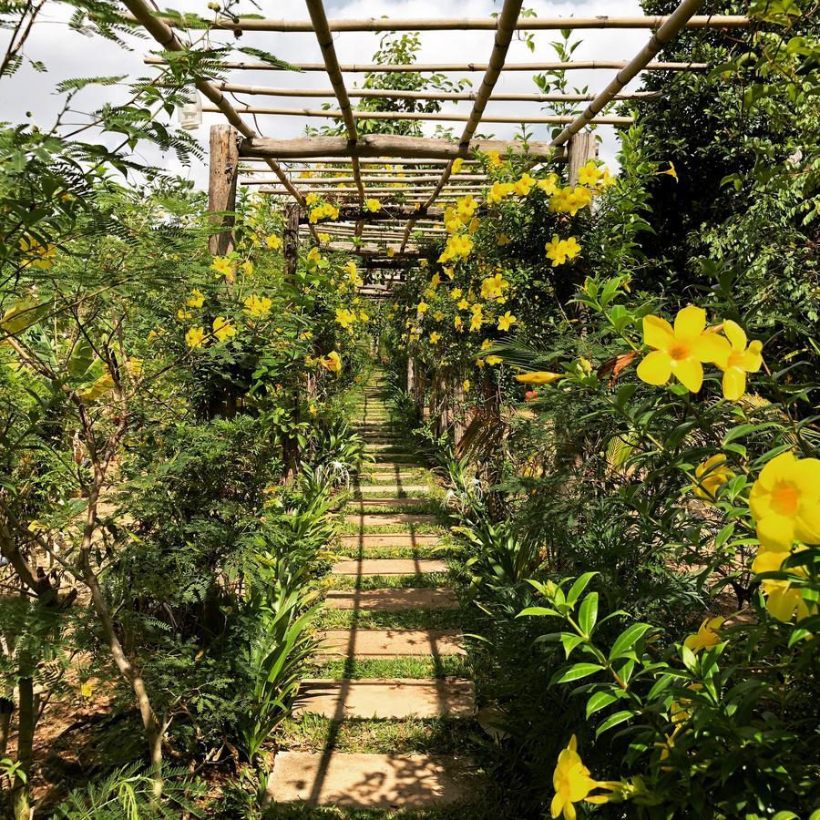 Angkor Rural Boutique Resort Siem Reap Bagian luar foto