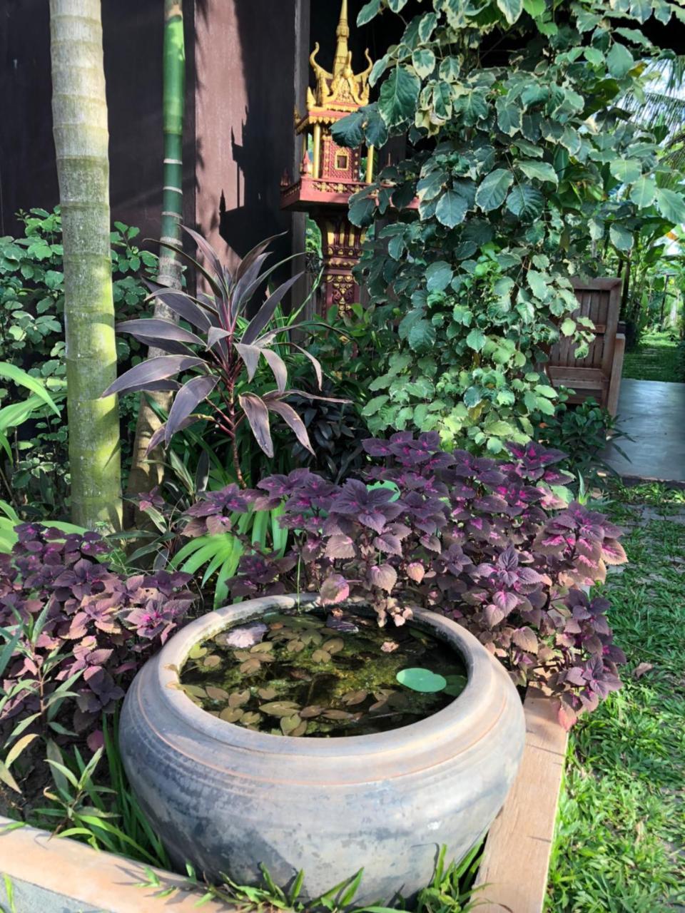 Angkor Rural Boutique Resort Siem Reap Bagian luar foto